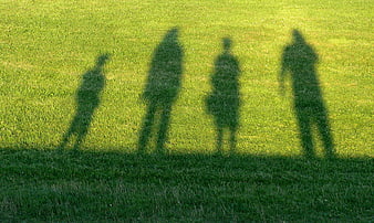 Shadows of Family Walking on Green Grass