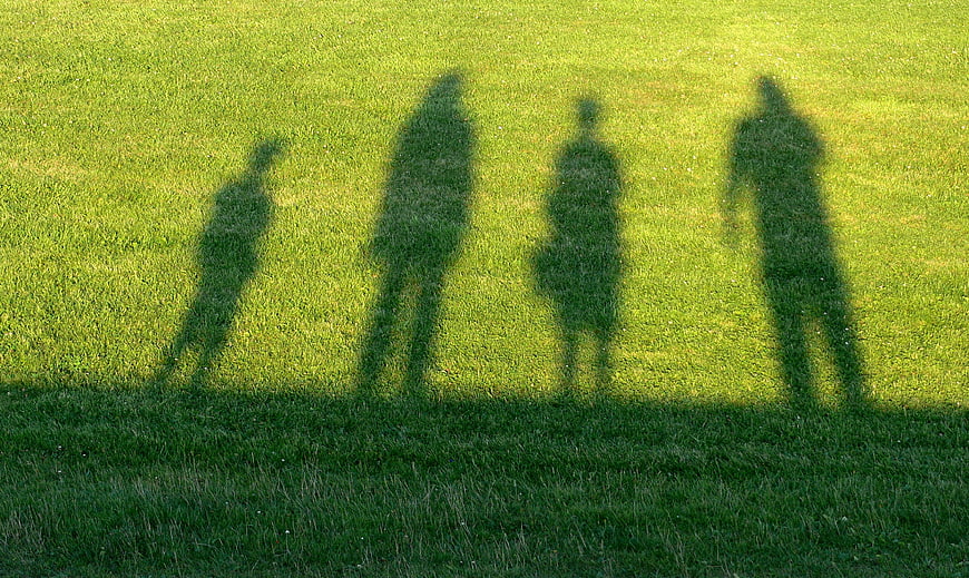 Shadows of Family Walking on Green Grass