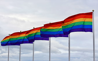 Row of Rainbow Pride Flags Waving Against Cloudy Sky