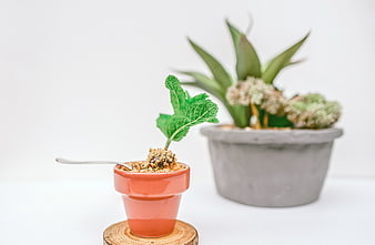 Creative dessert in miniature terracotta pot with mint garnish