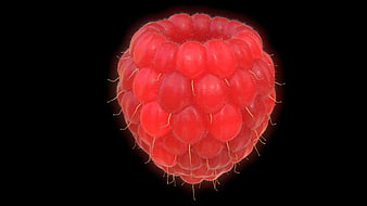3D Rendered Red Raspberry on Black Background