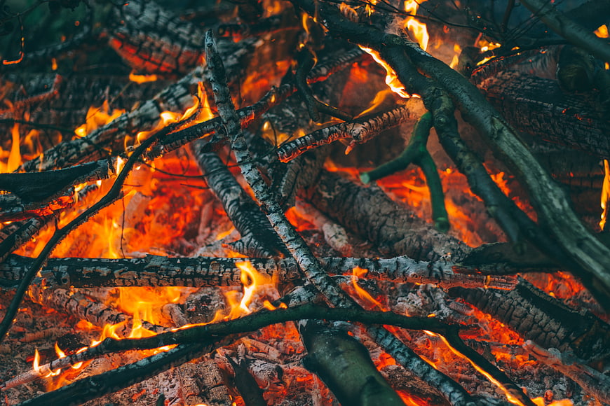 Close-up of burning campfire with glowing embers and charred wood