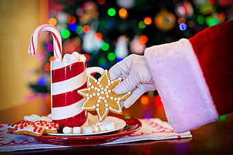 Santa Claus Hand Holding Gingerbread Cookie with Hot Chocolate