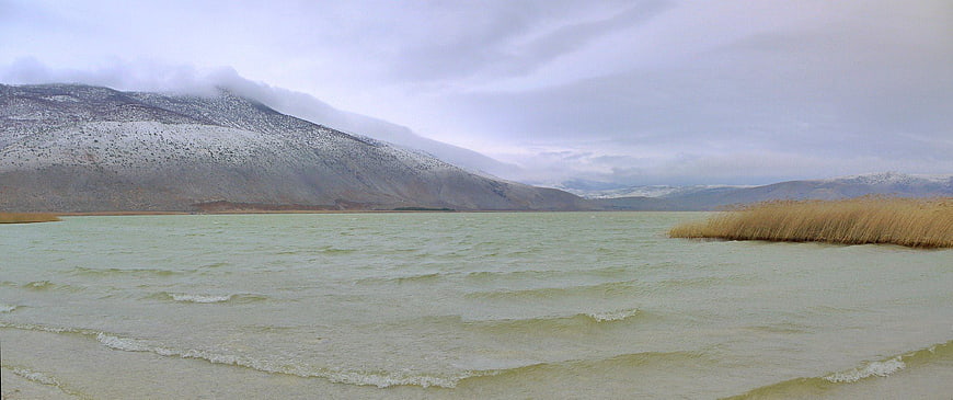 Panoramic view of a lake with snowy mountains and reeds
