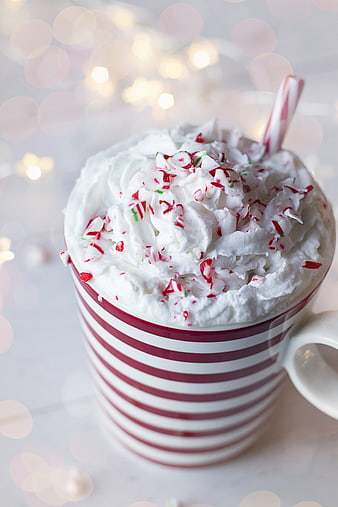 Festive Peppermint Hot Chocolate with Whipped Cream and Candy Cane
