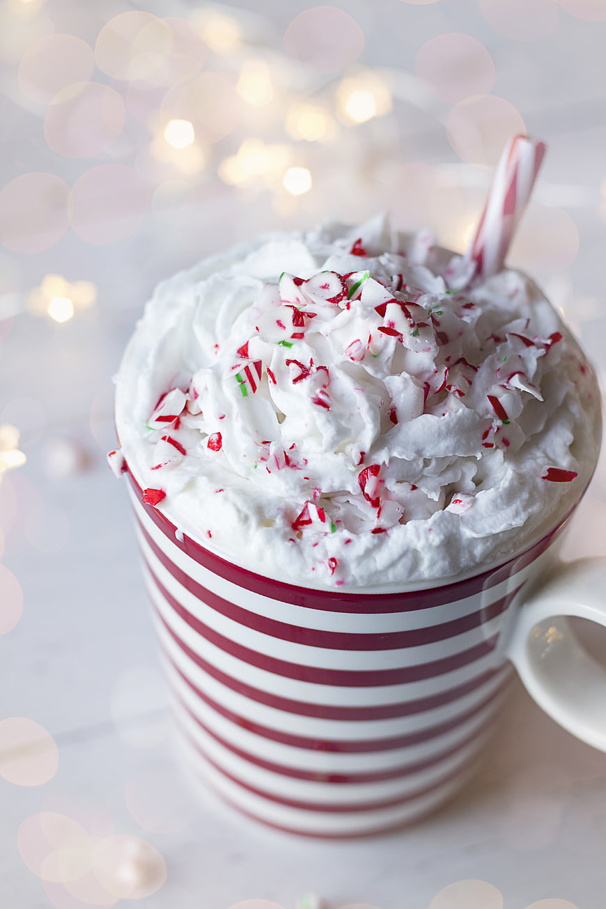 Festive Peppermint Hot Chocolate with Whipped Cream and Candy Cane