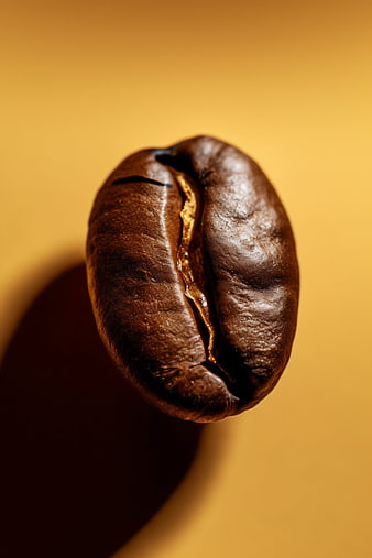Close-up of a roasted coffee bean on a yellow background