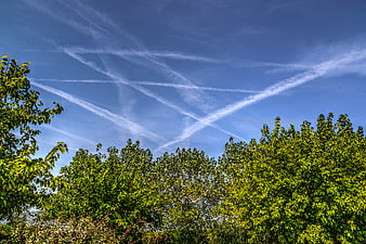 Blue sky with airplane contrails above green trees