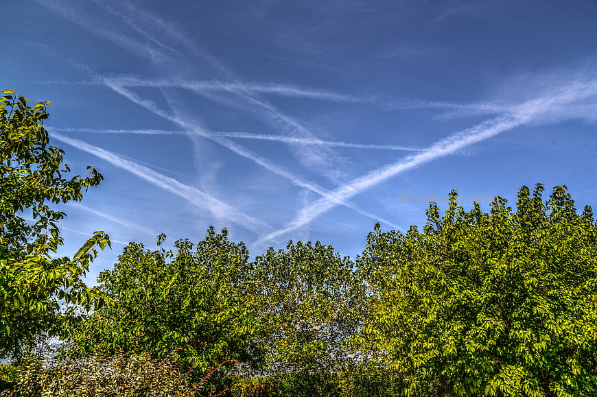 Blue sky with airplane contrails above green trees