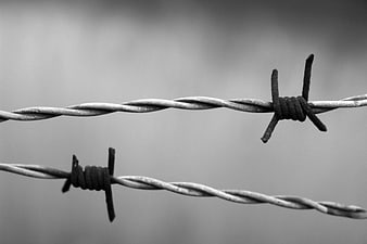 Black and white close-up of two strands of rusty barbed wire