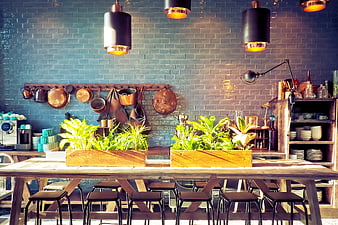Modern Rustic Kitchen Interior With Blue Brick Wall And Green Plants