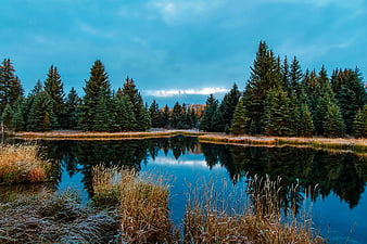 Serene Forest Lake with Pine Trees and Mountain Reflection