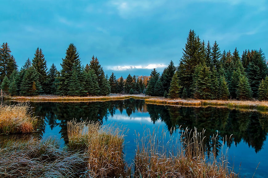 Serene Forest Lake with Pine Trees and Mountain Reflection