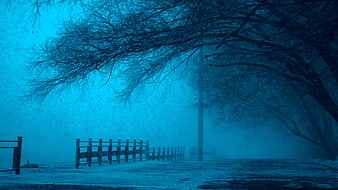 Dark Blue Winter Night Snowstorm with Fence and Trees