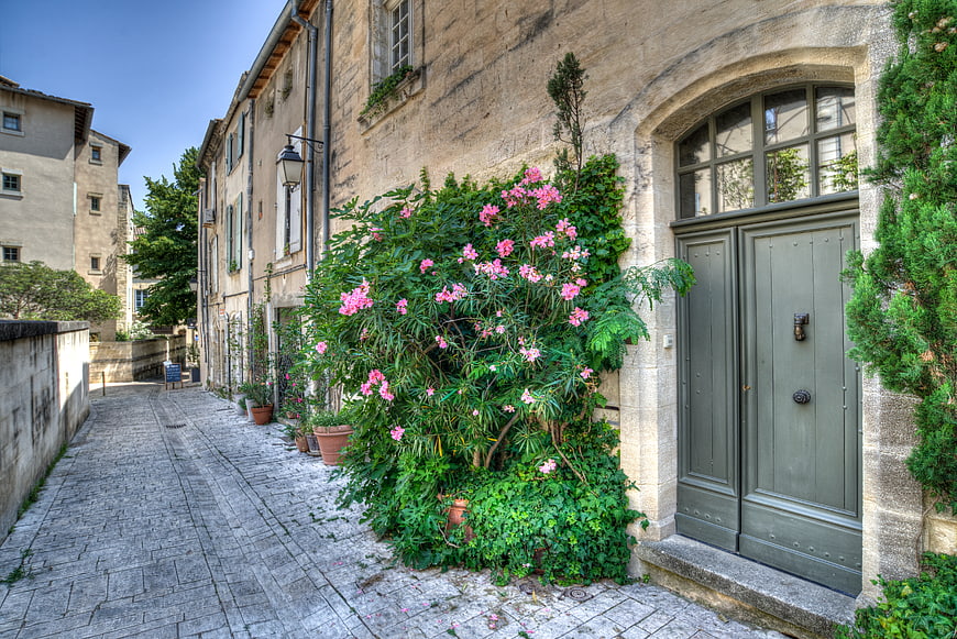 Charming cobblestone street with pink oleander flowers and stone architecture