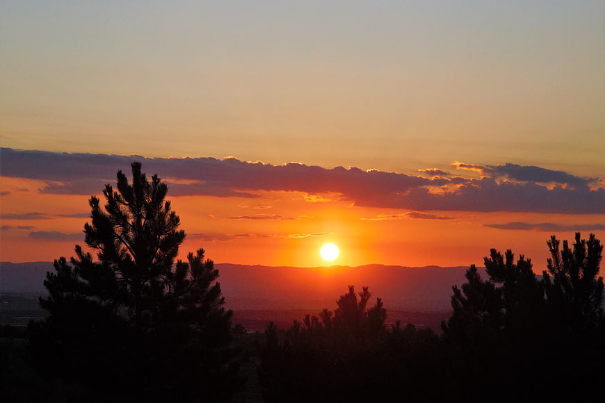 Vibrant Sunset Over Silhouetted Pine Trees and Mountains