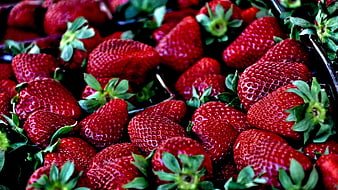 Close-up of fresh ripe red strawberries in a basket