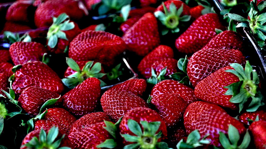 Close-up of fresh ripe red strawberries in a basket