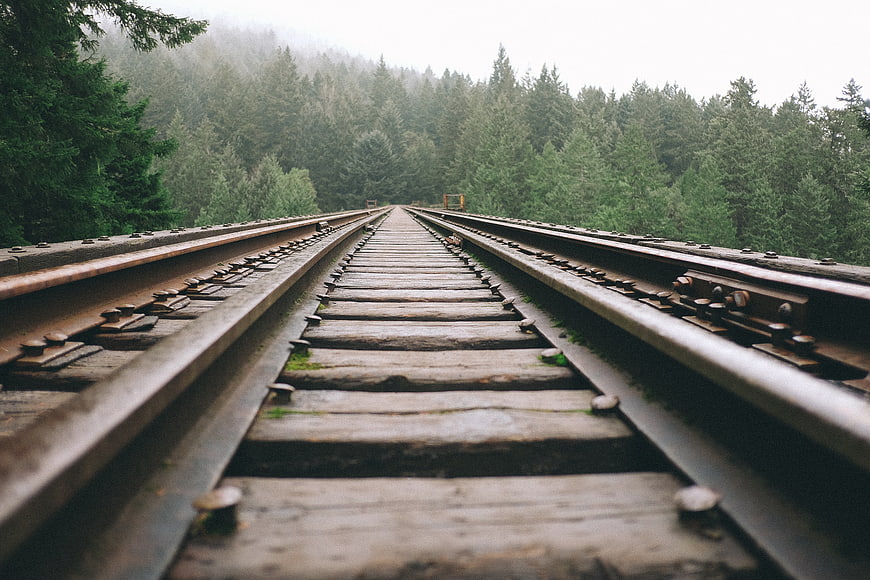 Low angle view of railway tracks leading into misty forest