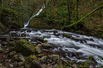 Misty waterfall cascading into a mossy forest stream