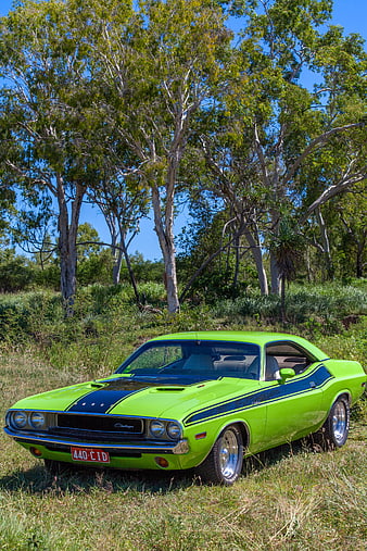 1970 Dodge Challenger R/T Lime Green Muscle Car Parked In Grass
