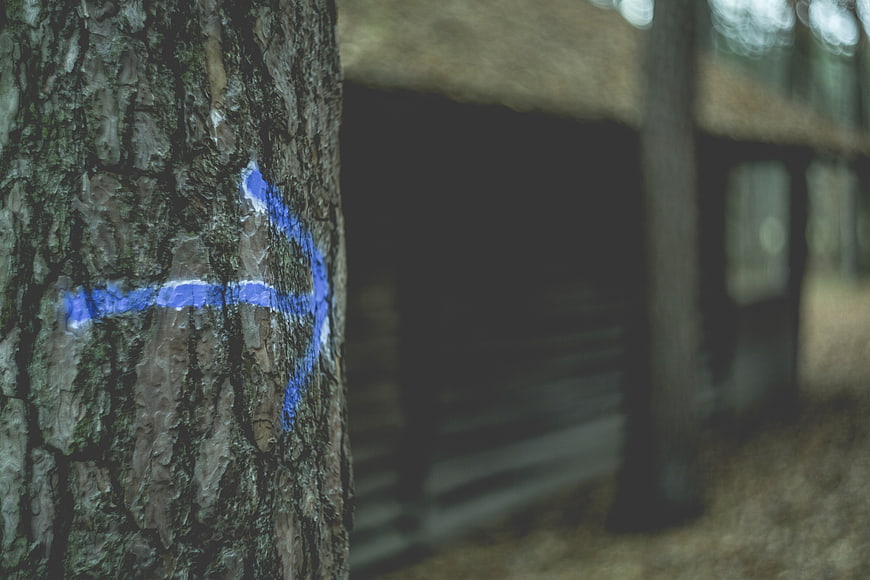 Blue Trail Marker Arrow Painted on Tree Bark in Forest