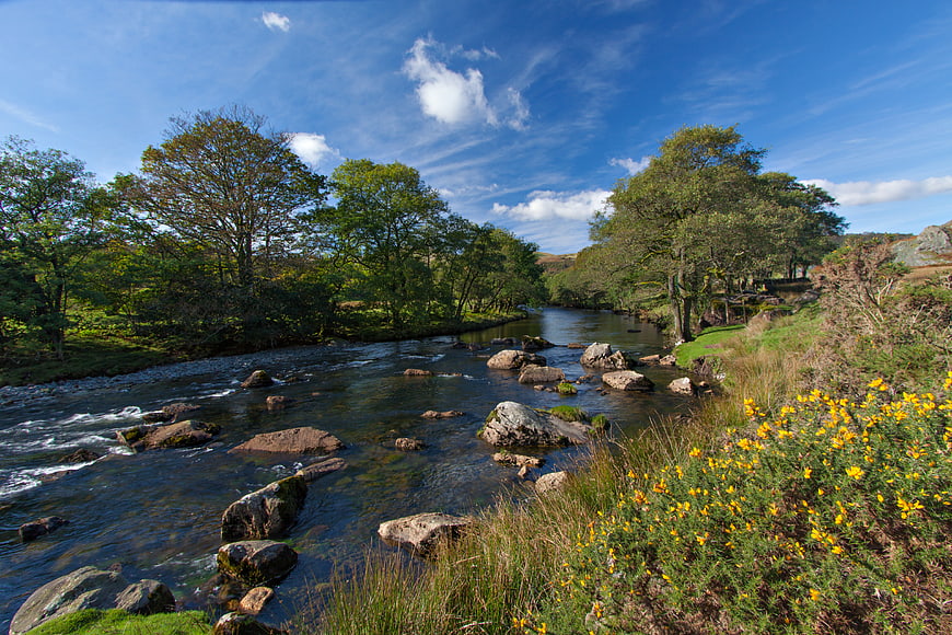 River Esk flowing through Lake District with yellow gorse