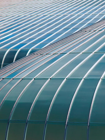 Abstract Curved Greenhouse Roof Architecture