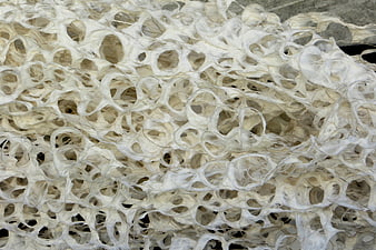 Close-up of white fibrous paper pulp texture with holes