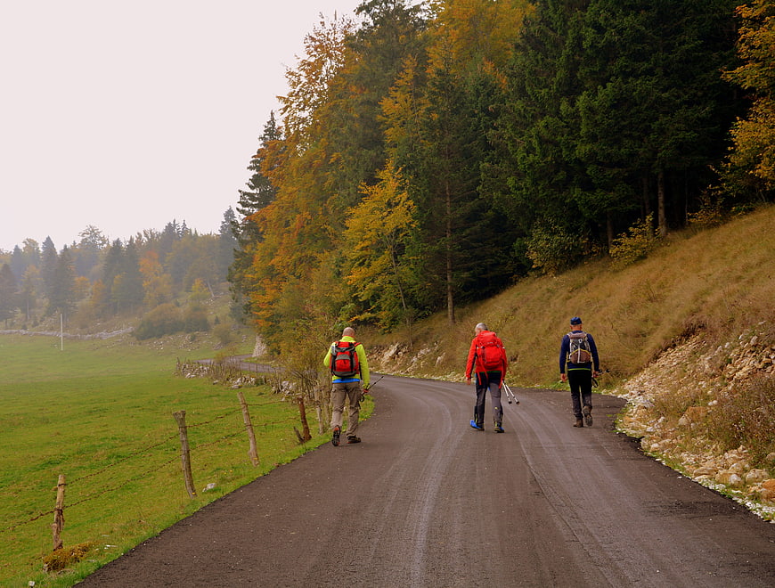 Three hikers walking on a paved road in autumn forest