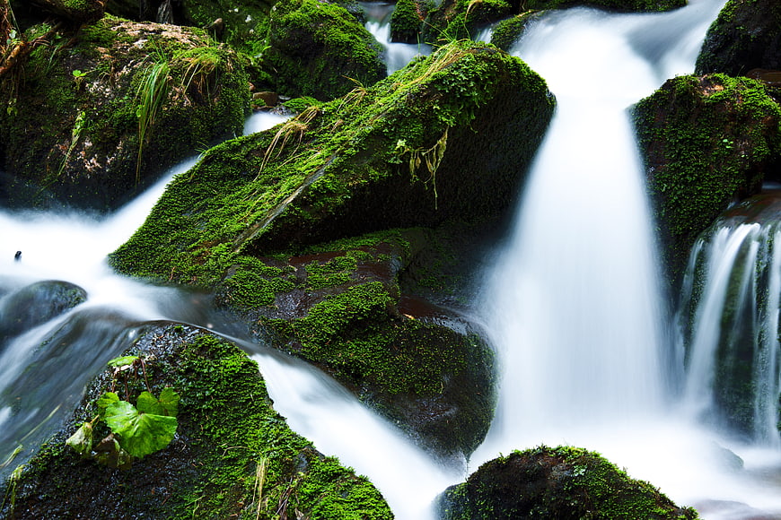 Long Exposure Mossy Rocks and Flowing Stream in Forest