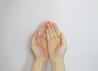 Cupped Hands Offering Help on White Background