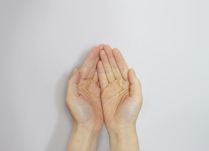 Cupped Hands Offering Help on White Background