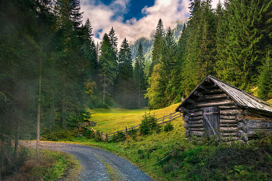 Rustic Log Cabin In Misty Alpine Forest With Gravel Road