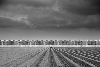 Black and white greenhouse agriculture field with dramatic sky