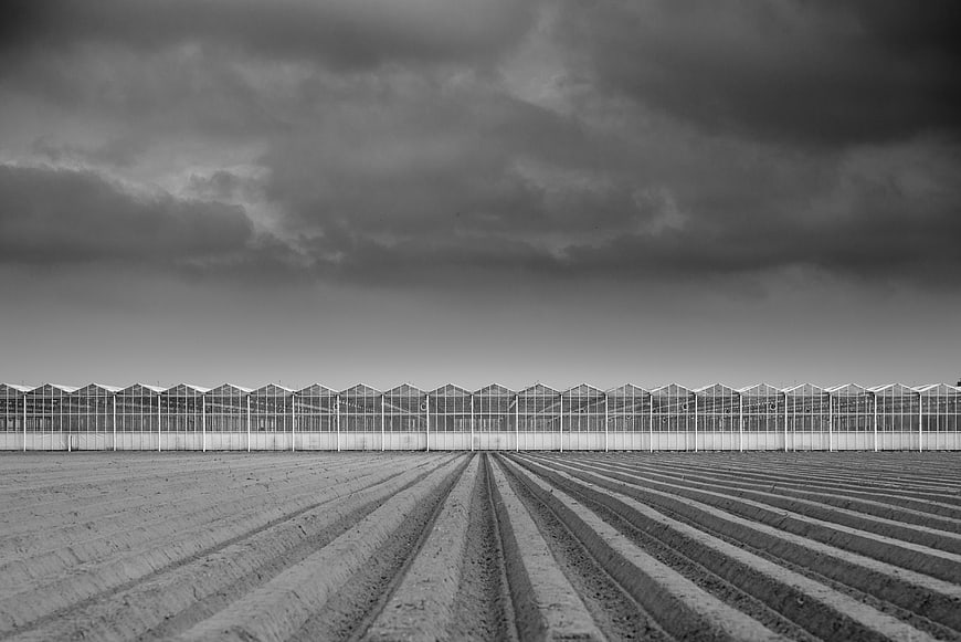 Black and white greenhouse agriculture field with dramatic sky