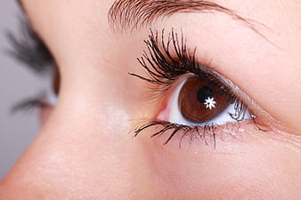 Close-up of a woman's brown eye with long eyelashes