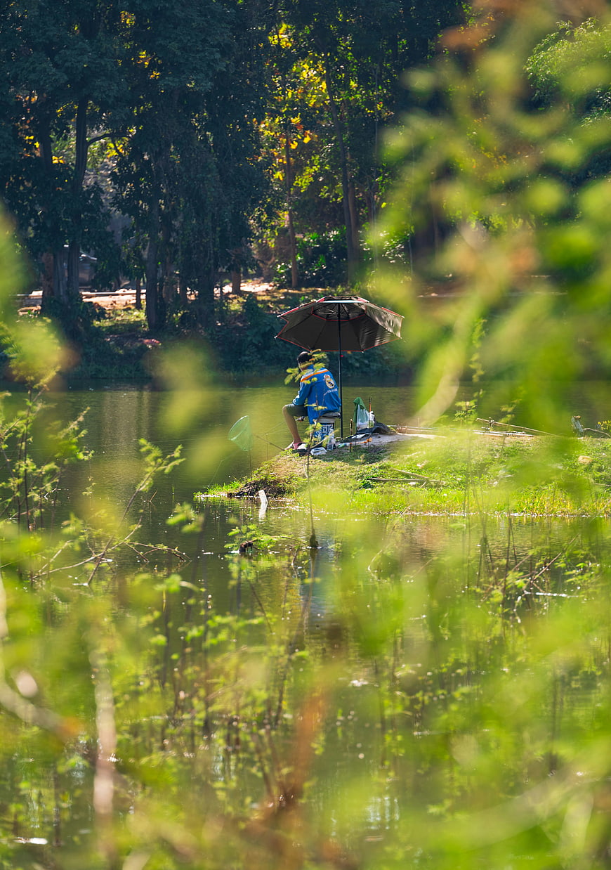 Man Fishing Under Umbrella in Lush Green Pond