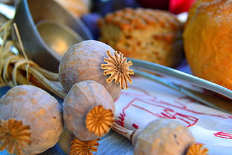 Dried Poppy Pods on Embroidered Cloth with Silverware