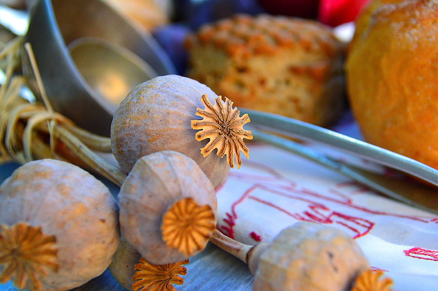 Dried Poppy Pods on Embroidered Cloth with Silverware