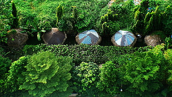 Aerial view of tropical resort huts with thatched roofs