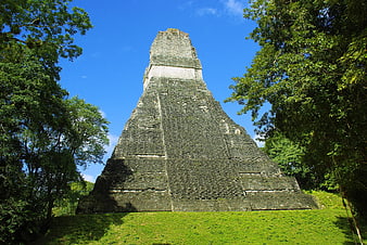 Ancient Mayan Pyramid Ruins In Lush Tropical Rainforest