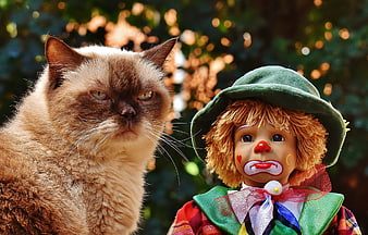 Grumpy Cat and Sad Clown Puppet Portrait