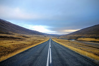 Empty asphalt road stretching through vast autumn landscape