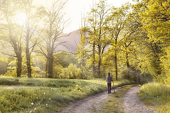 Child Walking On Gravel Path Through Spring Meadow