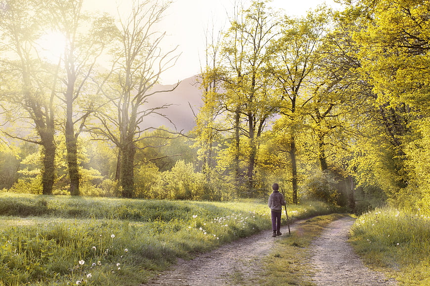 Child Walking On Gravel Path Through Spring Meadow