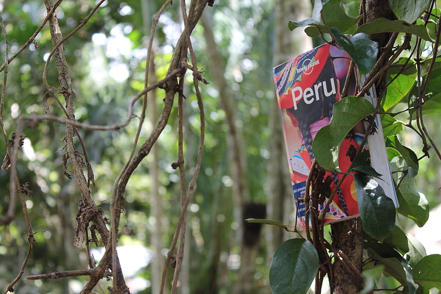 Lonely Planet Peru guidebook hanging in jungle tree
