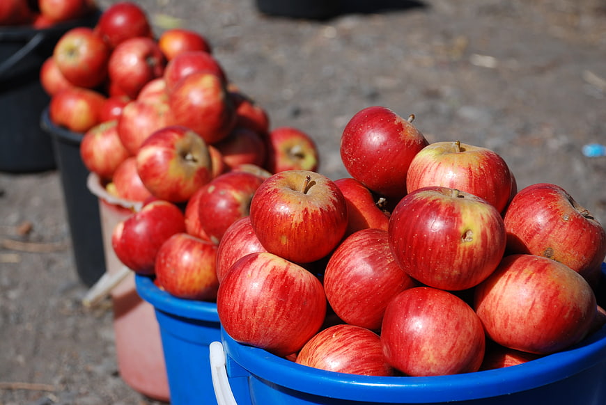 Fresh red apples in blue buckets at a roadside farm stand