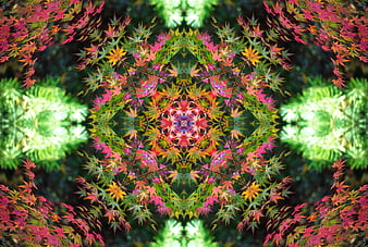 Colorful autumn leaves kaleidoscope pattern
