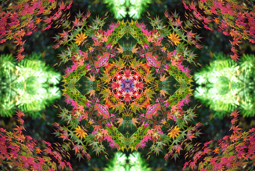 Colorful autumn leaves kaleidoscope pattern